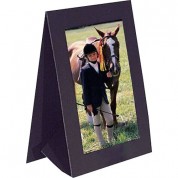 Collector's Gallery Grandeur Easel Frame -without Foil Window Border Model Pf5100-46 - For 4 X 6