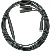 Royer Labs Replacement Cable Set For Sf-12 Microphone