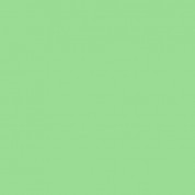 Rosco Fluorescent Lighting Sleeve/tube Guard (calcolor #4430 30 Green (1 Stop), 4' Long)