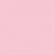 Rosco Fluorescent Lighting Sleeve/tube Guard (e-colour #e035 Light Pink, 4' Long)