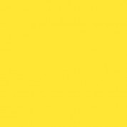 Rosco Fluorescent Lighting Sleeve/tube Guard (#313 Light Relief Yellow, 8' Long)