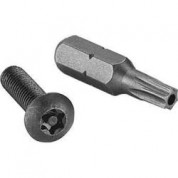 Winsted Security Screws