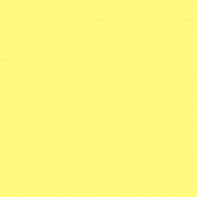 Rosco Fluorescent Lighting Sleeve/tube Guard (calcolor #yellow, 3' Long)