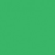 Rosco Fluorescent Lighting Sleeve/tube Guard (#389 Chroma Green, 2' Long)