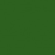 Rosco Fluorescent Lighting Sleeve/tube Guard (calcolor #calcolor 90 Green, 3' Long)