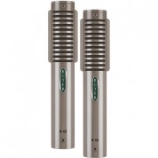 Royer Labs R-121-mp Studio Ribbon Microphones (nickel, Matched Pair)