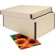 Lineco 733-1285 Card File (5 X 8 X 12