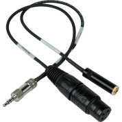 Sescom Trrs To Xlr Microphone & 3.5mm Monitoring Jack Cable For Select Iphone/ipod/ipad (1')