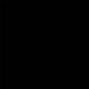 Savage Accent Solid Muslin Background (10 X 24', Black)