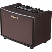 Roland Ac-33 Acoustic Chorus Guitar Amplifier