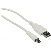 Pearstone Usb 2.0 Type A Male To Type B Mini Male Cable (white) - (3')