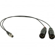 Ambient Recording Ska-ta3f-2xlr3m Xl-5-ar Adapter Cable