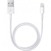 Apple Usb Type-a To Lightning Cable (1.6' / 0.5 M)