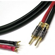 Canare 4s11 Speaker Cable 2 Banana To 2 Spade (6')