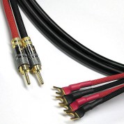 Canare 4s11 Speaker Cable 2 Banana To 4 Spade (12')