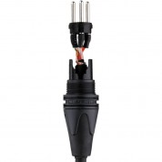 Kopul Premium Performance 3000 Series Neutrik Xlr Male To Xlr Female Microphone Cable (1', Black)