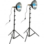 Impact Daylight Two-floodlight Light Kit