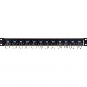 Camplex 12-port Lc Duplex Singlemode Feed-thru Panel