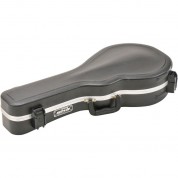 Skb F-style Mandolin Case