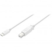 J5create Usb 2.0 Type-c To Type-b Cable (6')