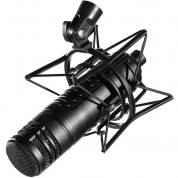 Art D7 Large Diaphragm Dynamic Microphone