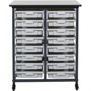 Luxor Double Row Mobile Bin Storage Unit (small Bins)