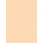 Westcott Solid Color Art Canvas Backdrop With Grommets (5 X 7', Orange)