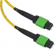 Camplex Mtp Elite Apc Male 12-fiber Single-mode Ofnp Round-jacket Cable (6')