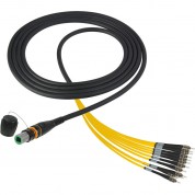 Camplex Opticalcon Mtp Male To St Single-mode 12-channel Breakout Cable (10')