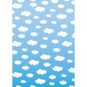 Westcott Classic Clouds Matte Vinyl Backdrop With Grommets (5 X 7', Multi-color)