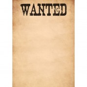 Westcott Wanted Poster Matte Vinyl Backdrop With Grommets (5 X 7', Multi-color)