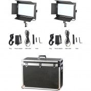 Came-tv 1380 Led Bi-color 2-light Kit