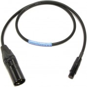 Cable Techniques Ct-plr3x-24k Ta3f To Xlr-3m Balanced Lectrosonics Lr Receiver Cable (24