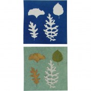 Cyanotype Store Cyanotype Paper (6 X 6