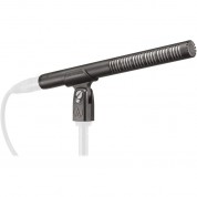 Audio-technica Bp4073 Shotgun Microphone