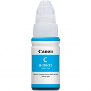 Canon Gi-290 Cyan Megatank Ink Bottle (70ml)