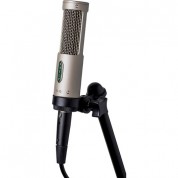 Royer Labs R-10-mp Studio/live Ribbon Microphone (matched Pair)