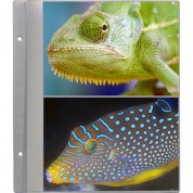 Pioneer Photo Albums R57 Refill Pages For The Ps-5781 Photo Album (pack Of 5)