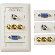 Ntw Pre-configured Customizable Unimedia Wall Plate With Vga, 1/8