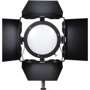 Smith-victor Ladybug Led Light With Barndoors