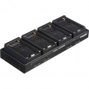 Dolgin Engineering Tc40 Four-position Simultaneous Battery Charger For Sony L-series