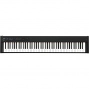 Korg D1 88-key Digital Stage Piano With Pedal (black)