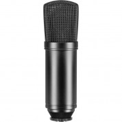 Mxl 440 Studio Cardioid Condenser Microphone (black With Gold Print)