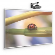 Best Rite Interactive Projection Board (4 X 8', Standard Gloss White)