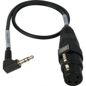 Sescom Ses-camcord-mic Dslr Adapter Cable For Xlr Microphones (18