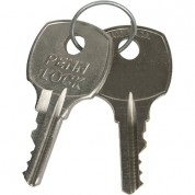 Lowell Manufacturing Replacement Keys For Rack Rear Door B644a (1 Pair)