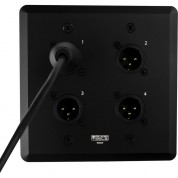 Soundtools Wallcat Mx-b Wall Plate With Four Xlr 3-pin Male Connectors (black)