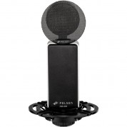 Polsen Rm-800 Large-diaphragm Condenser Microphone (black)