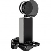 Polsen Rm-800 Large-diaphragm Condenser Microphone (black)