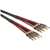 Canare 4s11 Speaker Cable 4 Banana To 4 Banana (20')